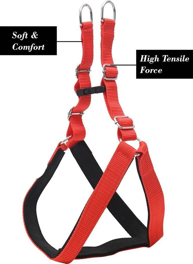 Pups&Pets سرج ومقود للكلاب قابل للتعديل من النايلون المبطن من Pups&Pets، مقاس 0.75 بوصة، مناسب للحيوانات الأليفة الصغيرة (مقاس الصدر: 19-24، أحمر وأسود). - Image 3